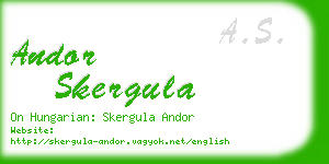 andor skergula business card